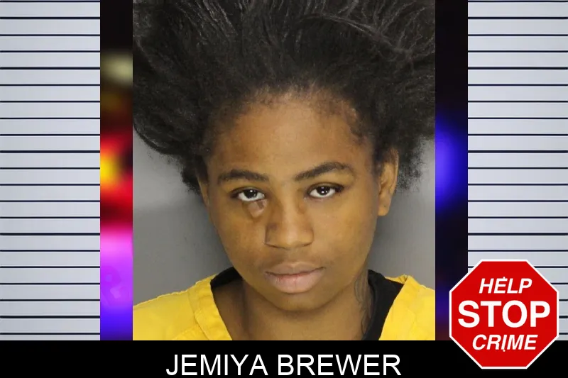 Jemiya Brewer mugshot – Cobb County , Georgia Jemiya Brewer mugshot