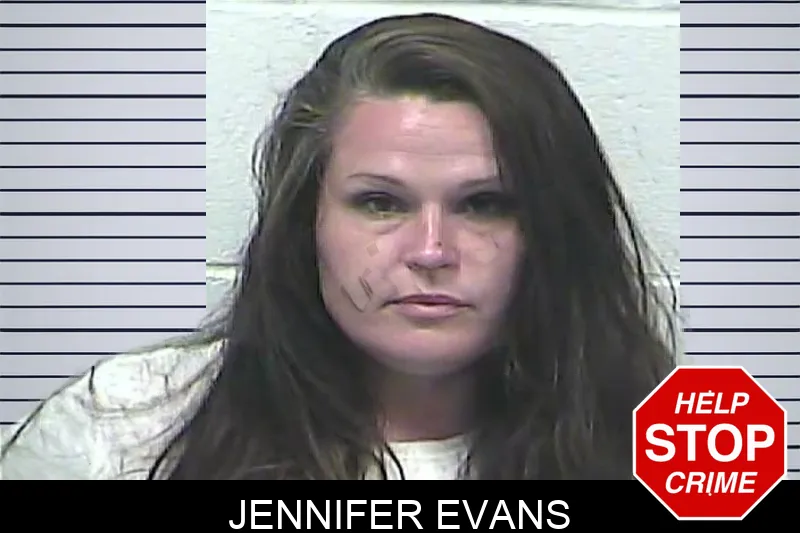 Jennifer Evans mugshot – Dawson County , Georgia Jennifer Evans mugshot