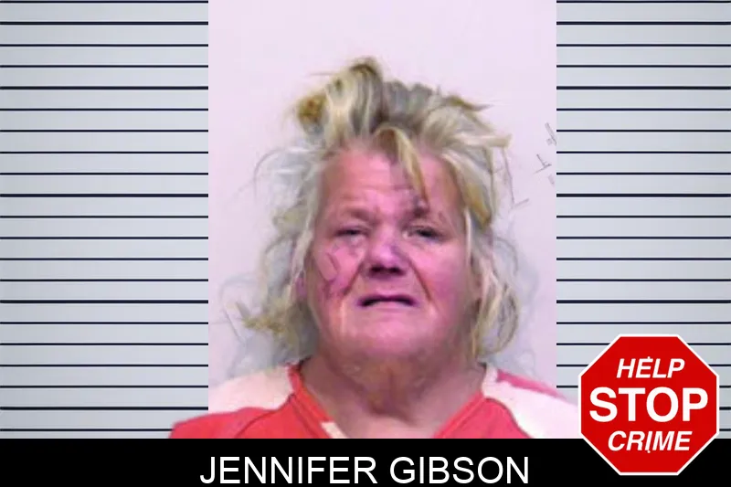 Jennifer Gibson mugshot