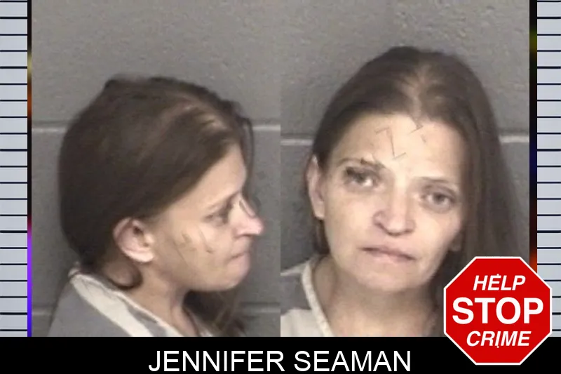 Jennifer Seaman mugshot – Barrow County , Georgia Jennifer Seaman mugshot