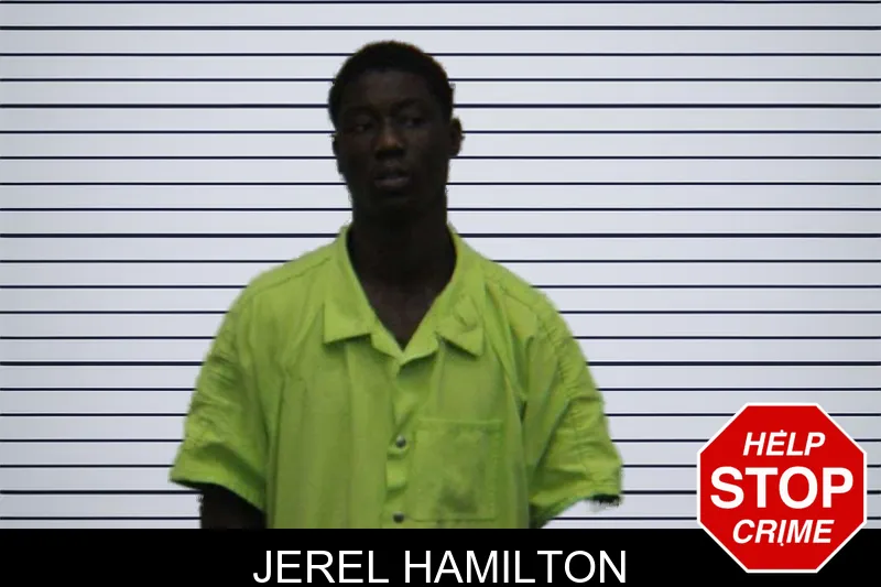 Jerel Hamilton mugshot – Turner County , Georgia Jerel Hamilton mugshot