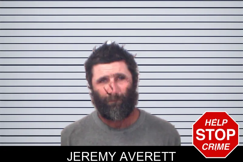 Jeremy Averett mugshot – Emanuel County , Georgia Jeremy Averett mugshot