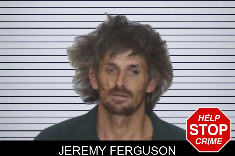 Jeremy Ferguson mugshot