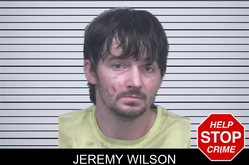 Jeremy Wilson mugshot