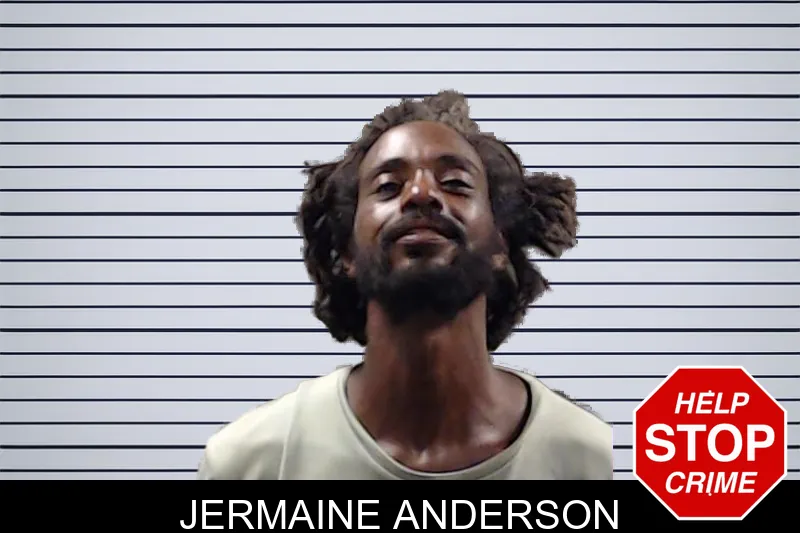 Jermaine Anderson mugshot