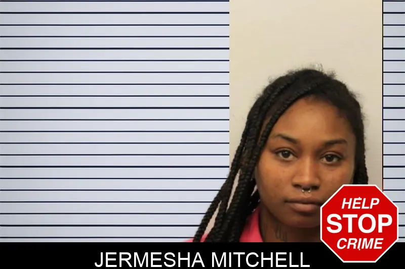 Jermesha Mitchell mugshot – Chatham County , Georgia Jermesha Mitchell mugshot