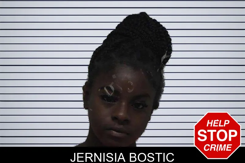 Jernisia Bostic mugshot – Laurens County , Georgia Jernisia Bostic mugshot