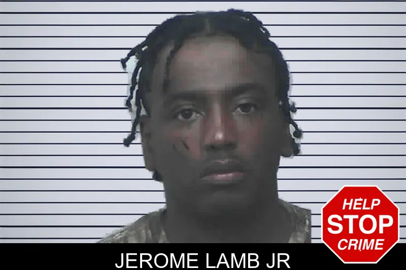 Jerome Lamb Jr mugshot