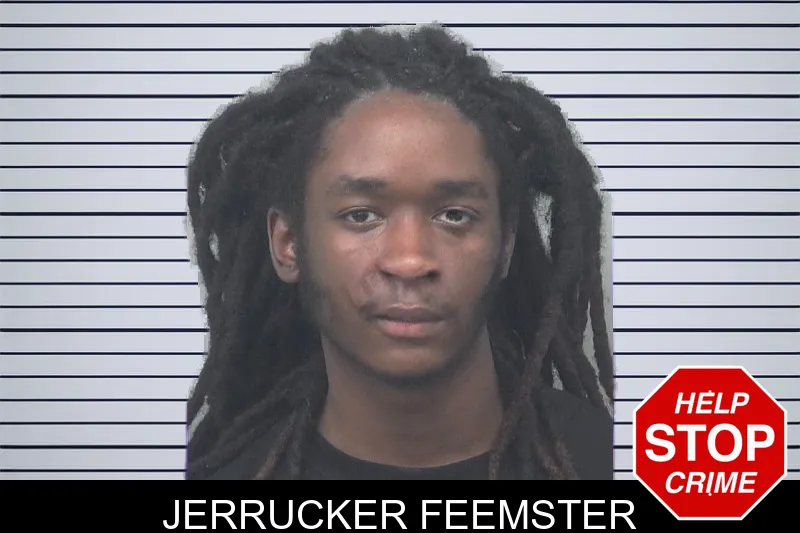 Jerrucker Feemster mugshot – Gwinnett County , Georgia Jerrucker Feemster mugshot