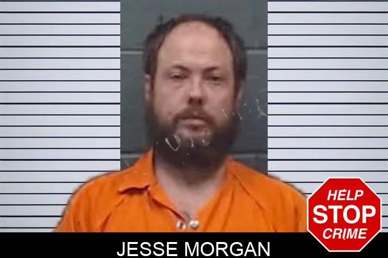 Jesse Morgan mugshot