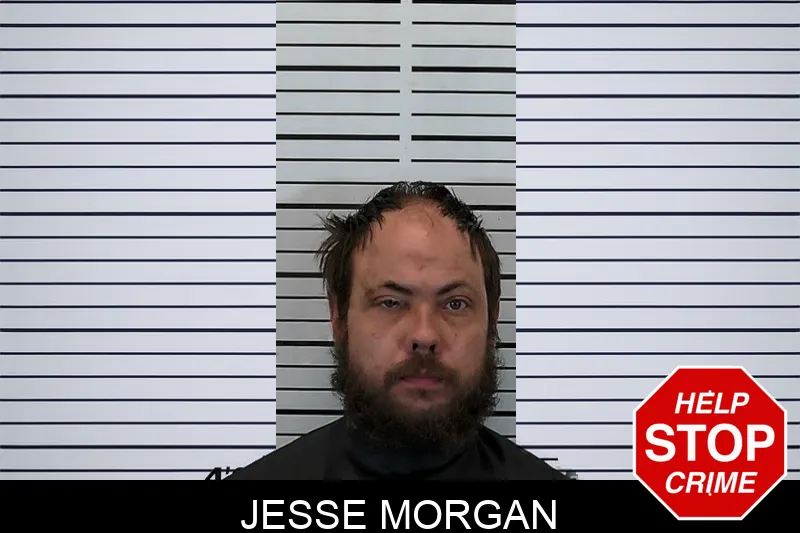 Jesse Morgan mugshot – Hart County , Georgia Jesse Morgan mugshot