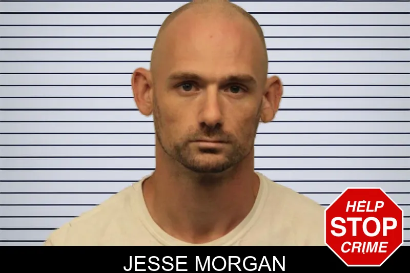 Jesse Morgan mugshot