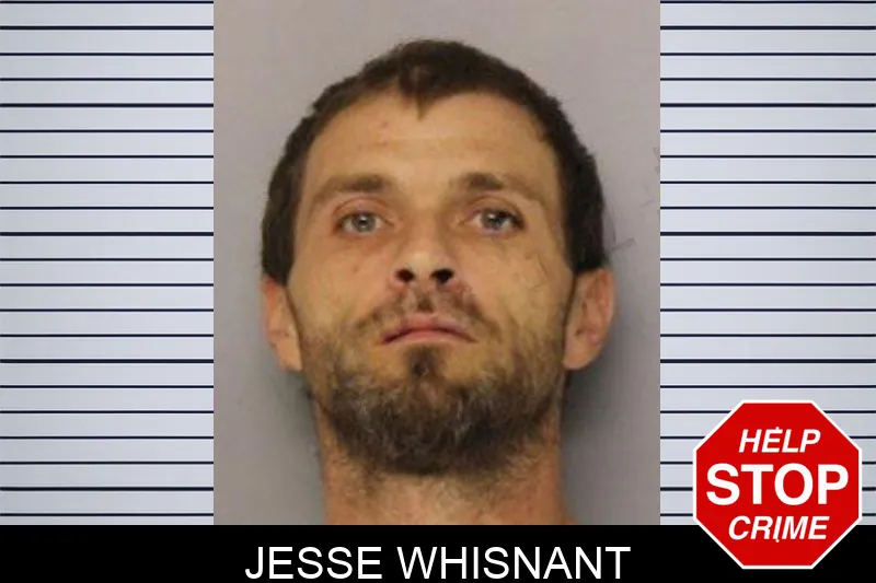 Jesse Whisnant mugshot – Hall County , Georgia Jesse Whisnant mugshot