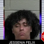Jessenia Felix mugshot