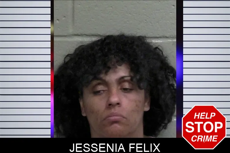Jessenia Felix mugshot
