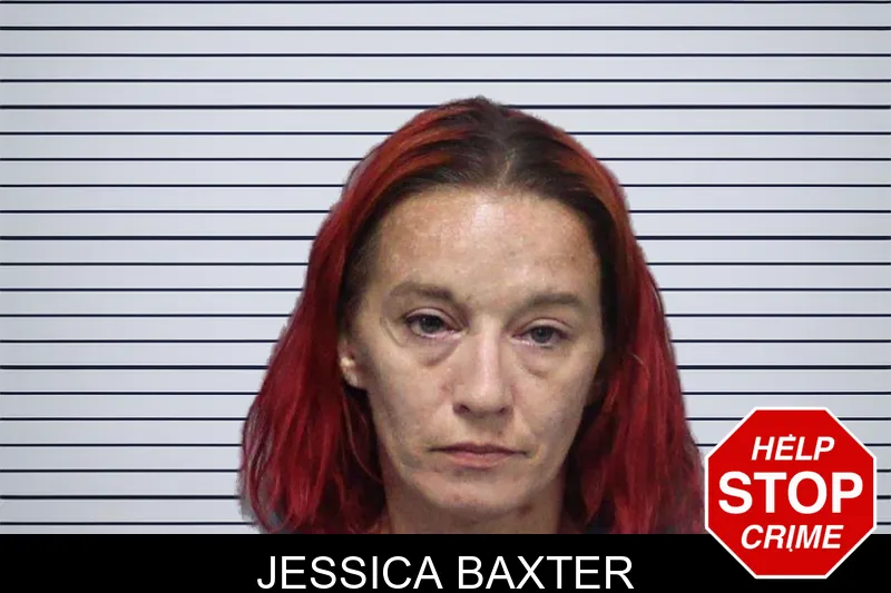 Jessica Baxter mugshot – White County , Georgia Jessica Baxter mugshot