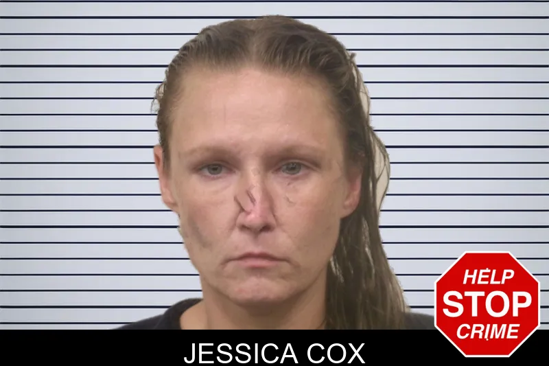 Jessica Cox mugshot
