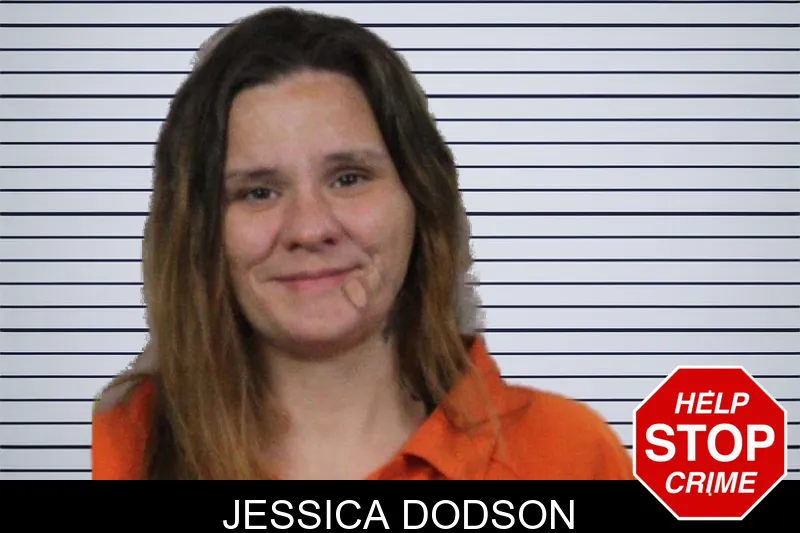 Jessica Dodson mugshot – Lamar County , Georgia Jessica Dodson mugshot
