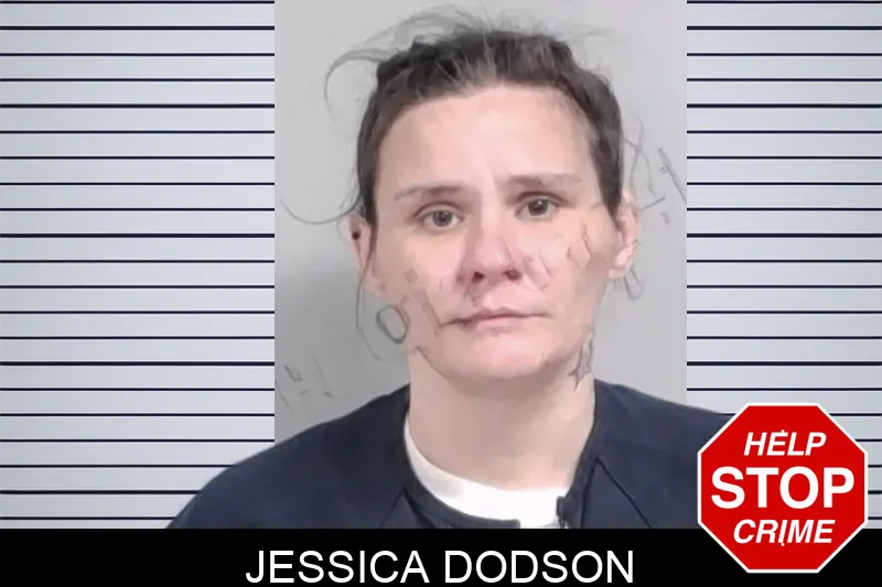Jessica Dodson mugshot – Lowndes County , Georgia Jessica Dodson mugshot