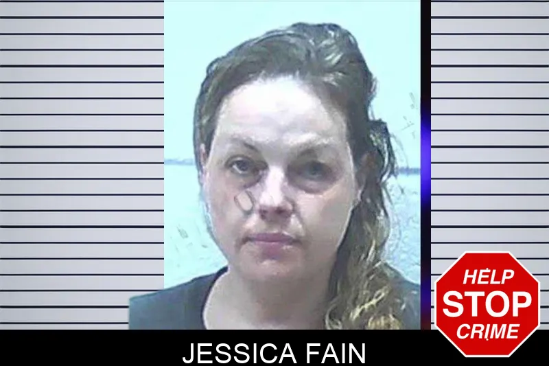 Jessica Fain mugshot – Jackson County , Georgia Jessica Fain mugshot