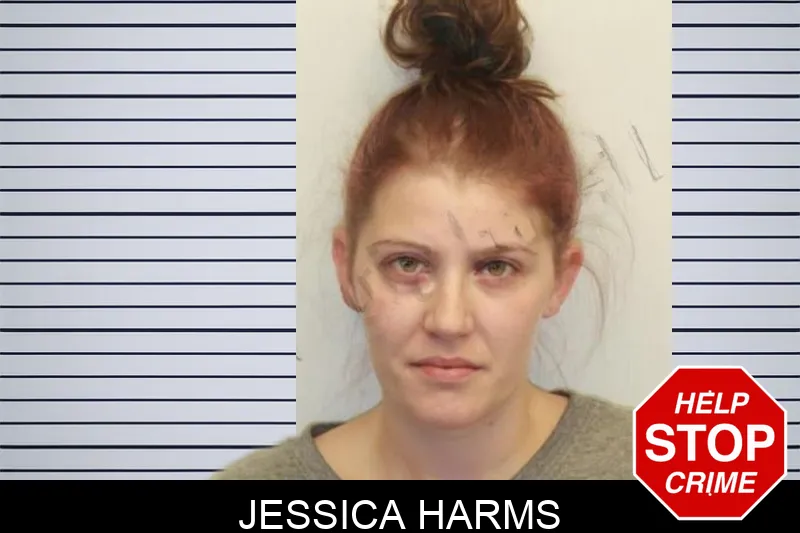 Jessica Harms mugshot