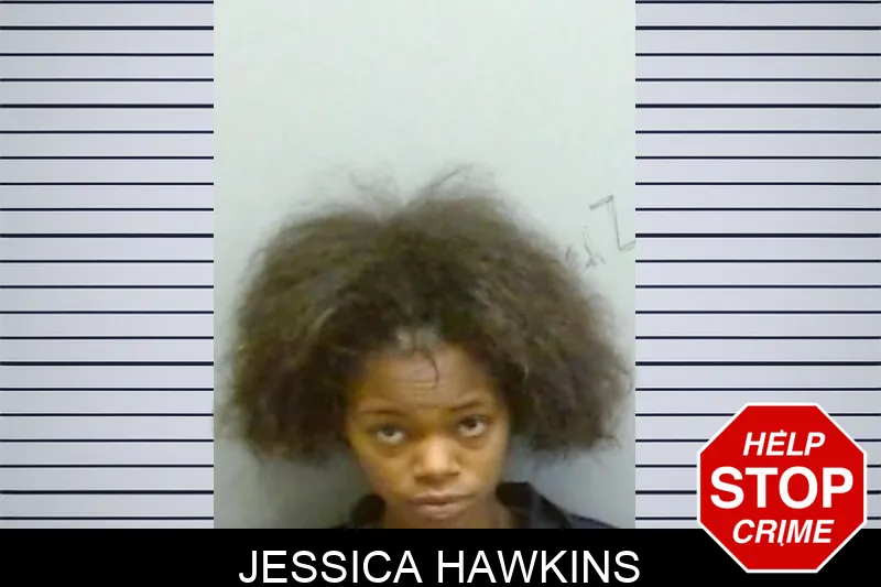 Jessica Hawkins mugshot – Fulton County , Georgia Jessica Hawkins mugshot