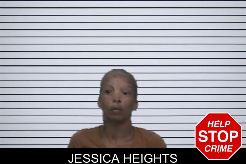 Jessica Heights mugshot – Sumter County , Georgia Jessica Heights mugshot
