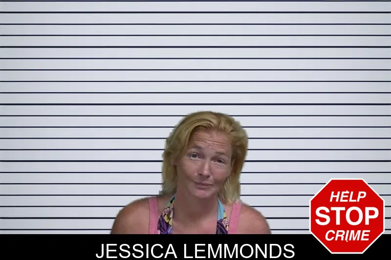 Jessica Lemmonds mugshot – Wayne County , Georgia Jessica Lemmonds mugshot