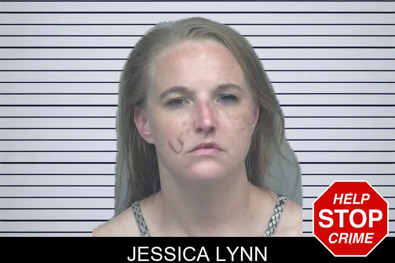 Jessica Lynn mugshot