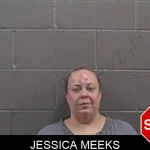 Jessica Meeks mugshot