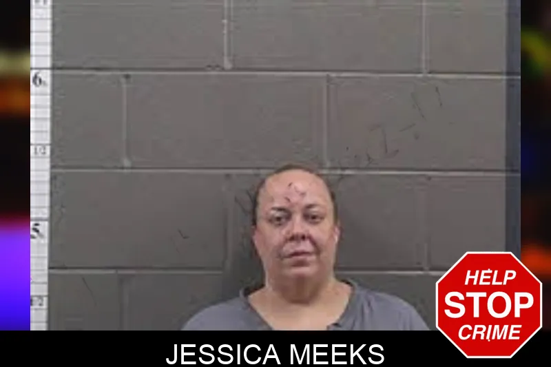 Jessica Meeks mugshot – Banks County , Georgia Jessica Meeks mugshot