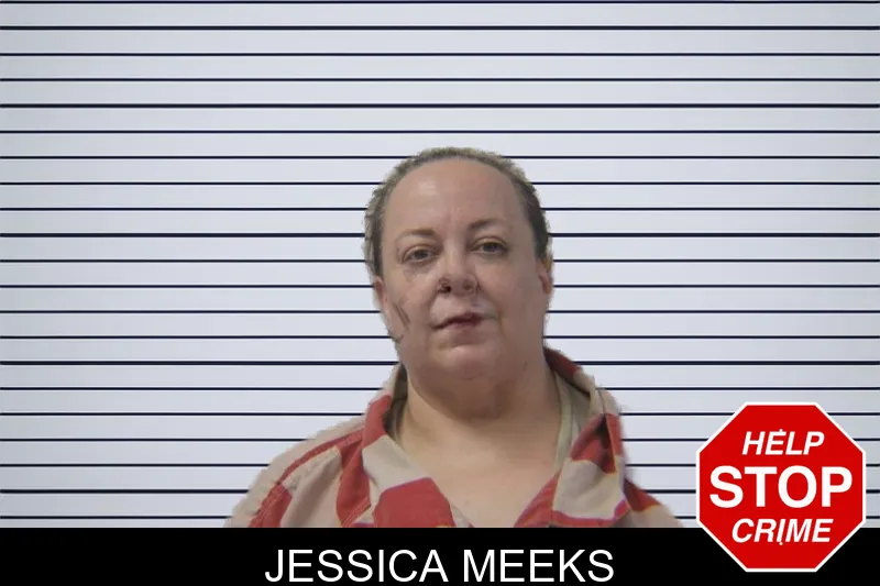 Jessica Meeks mugshot