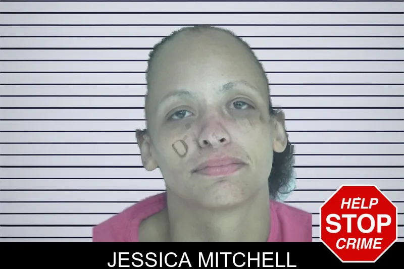 Jessica Mitchell mugshot – Fayette County , Georgia Jessica Mitchell mugshot