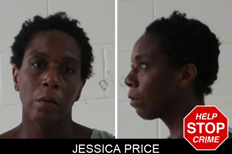 Jessica Price mugshot