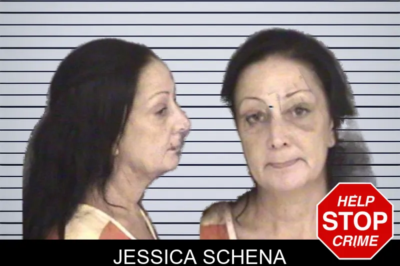 Jessica Schena mugshot