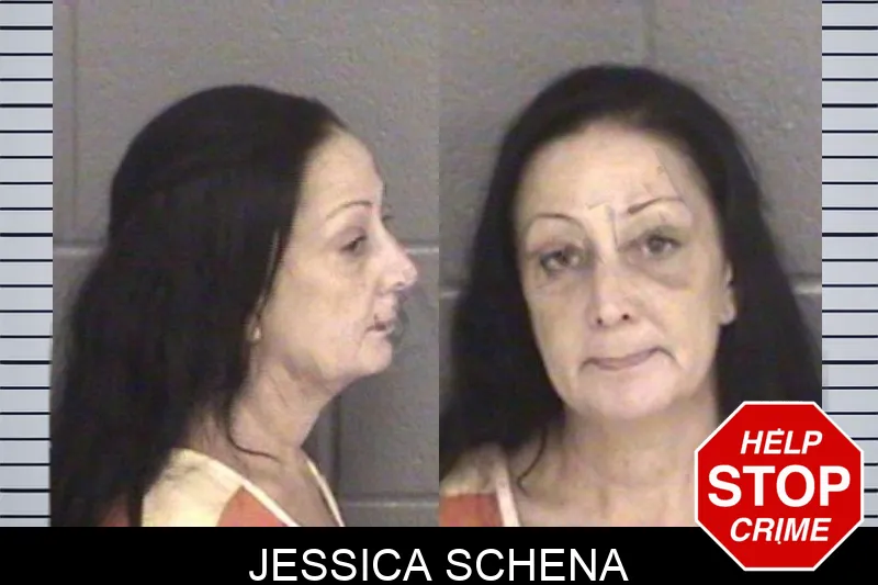 Jessica Schena mugshot
