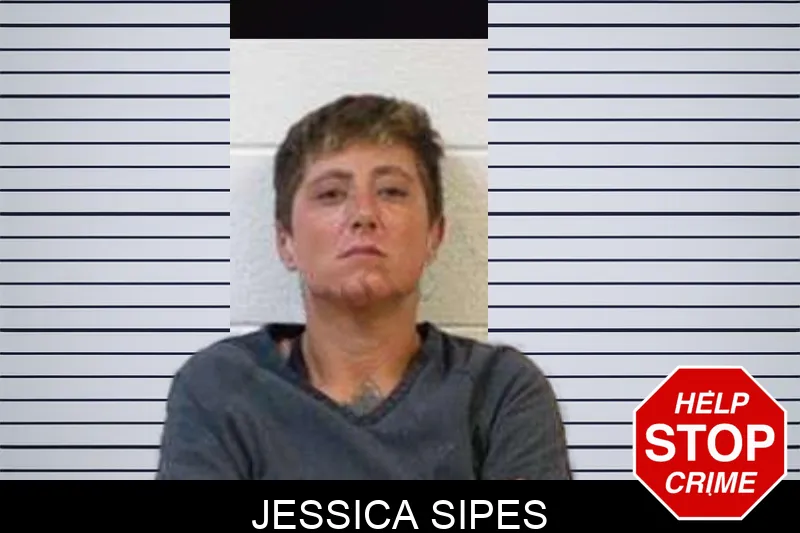 Jessica Sipes mugshot