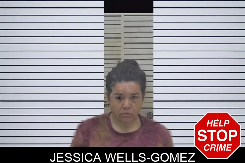 Jessica Wells-Gomez mugshot – Coffee County , Georgia Jessica Wells-Gomez mugshot