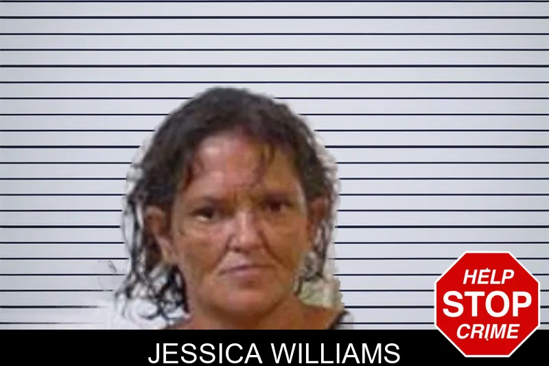 Jessica Williams mugshot