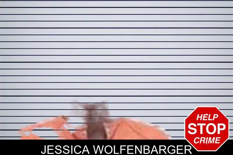 Jessica Wolfenbarger mugshot