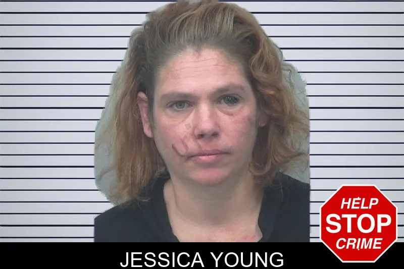 Jessica Young mugshot – Gwinnett County , Georgia Jessica Young mugshot