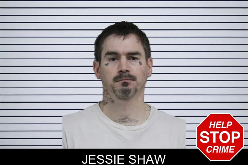 Jessie Shaw mugshot