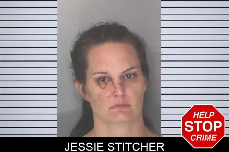 Jessie Stitcher mugshot – Douglas County , Georgia Jessie Stitcher mugshot