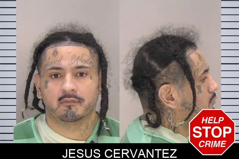 Jesus Cervantez mugshot