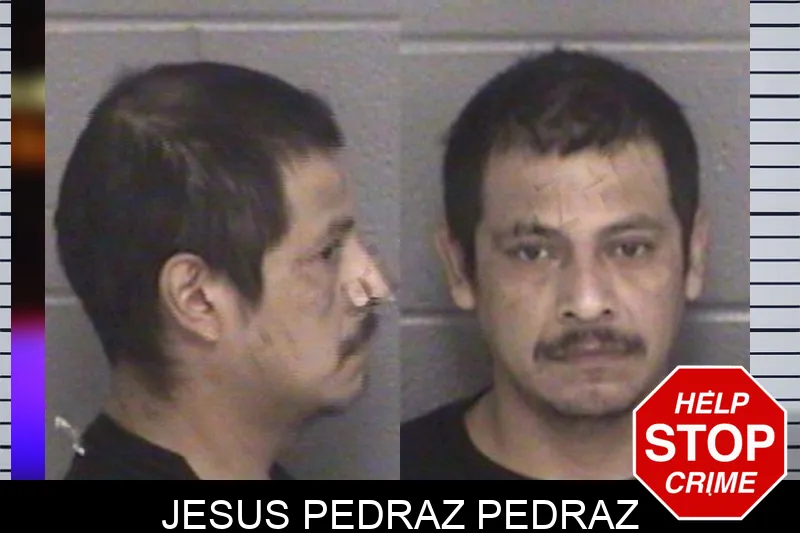 Jesus Pedraz Pedraz mugshot