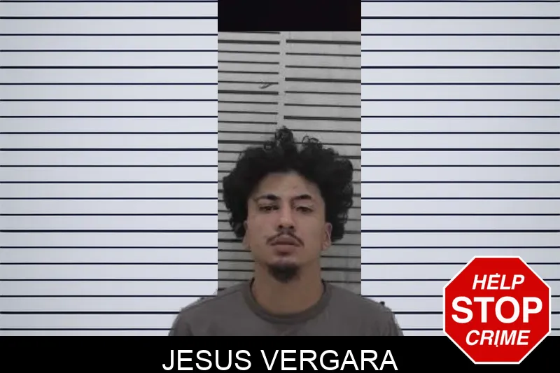 Jesus Vergara mugshot
