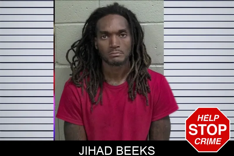 Jihad Beeks mugshot – Wayne County , Georgia Jihad Beeks mugshot