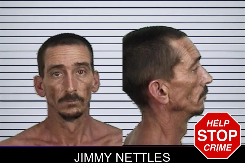 Jimmy Nettles mugshot – Camden County , Georgia Jimmy Nettles mugshot