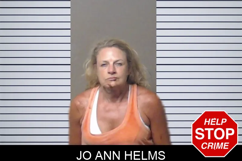 Jo Ann Helms mugshot