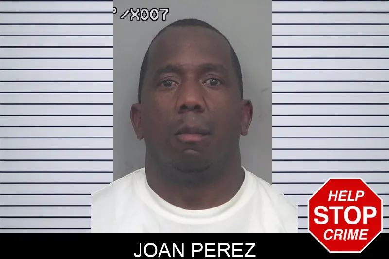 Joan Perez mugshot